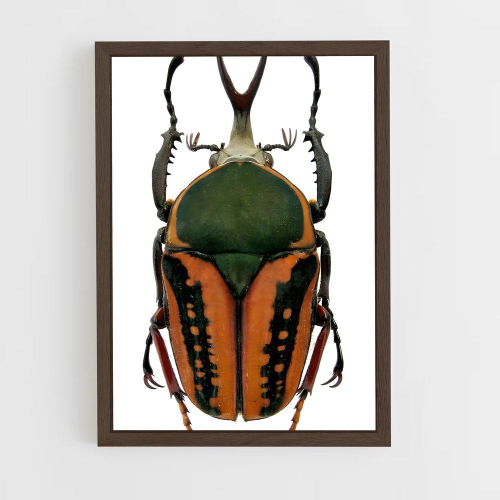 ap-scarab-6 cadre Bois foncé