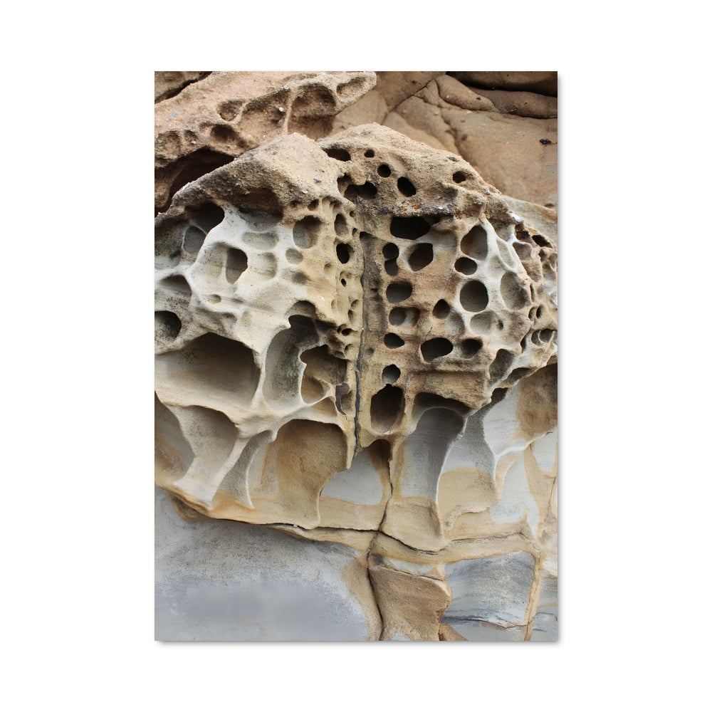 Poster Roche Poreuse