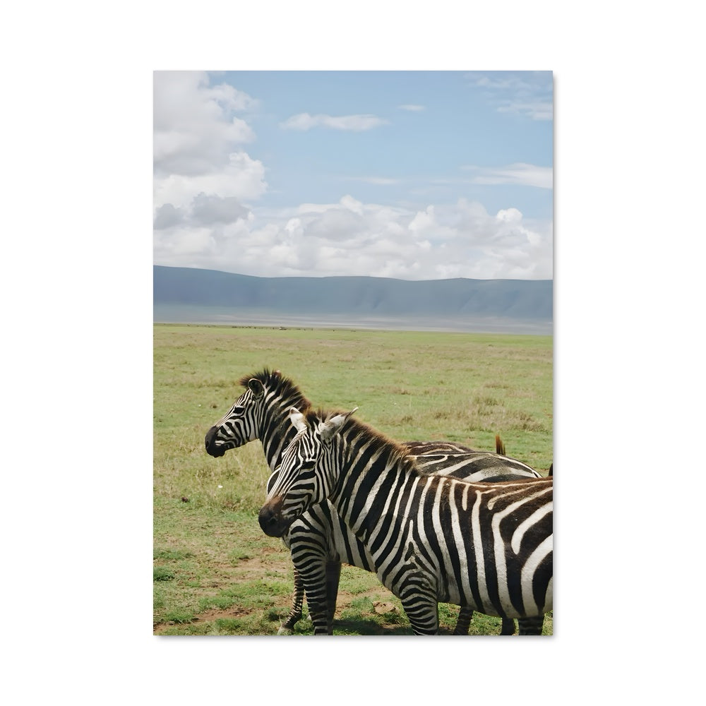 Poster Serengeti Zebras
