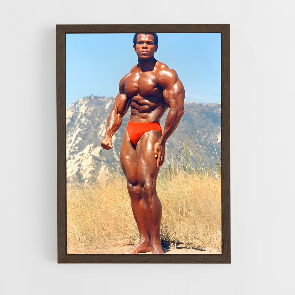 ap-serge nubret-1 cadre Bois foncé