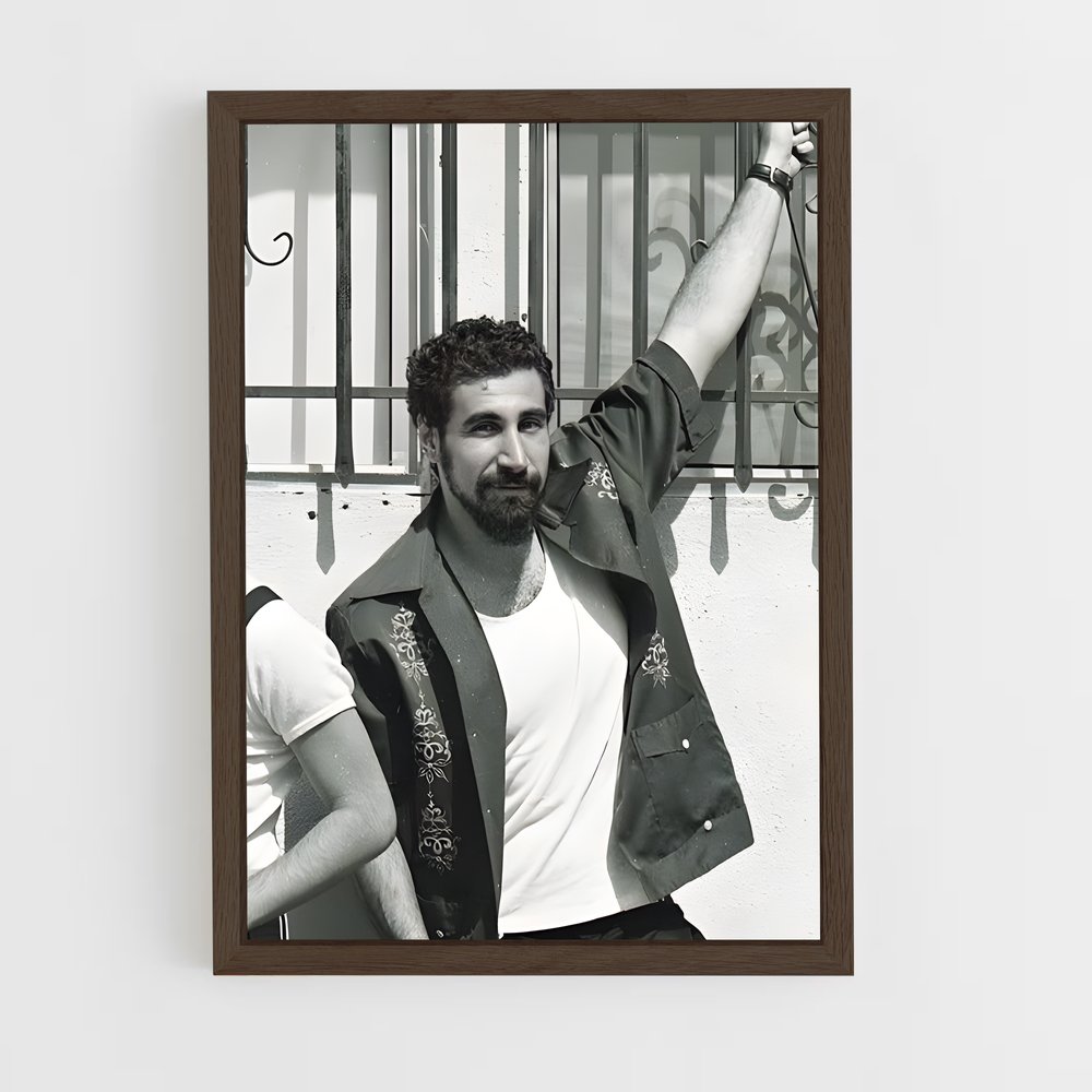 ap-serj tankian-3 cadre Bois foncé
