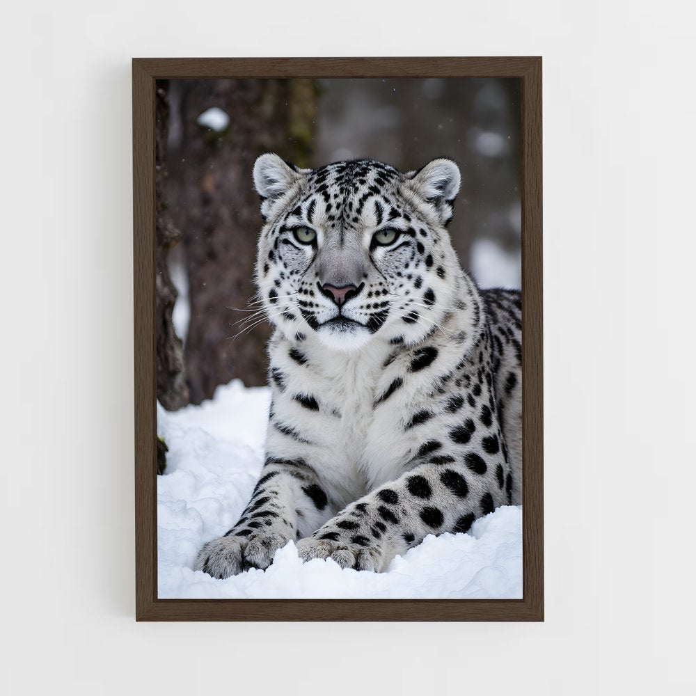 ap-snow leopard-2 cadre Bois foncé