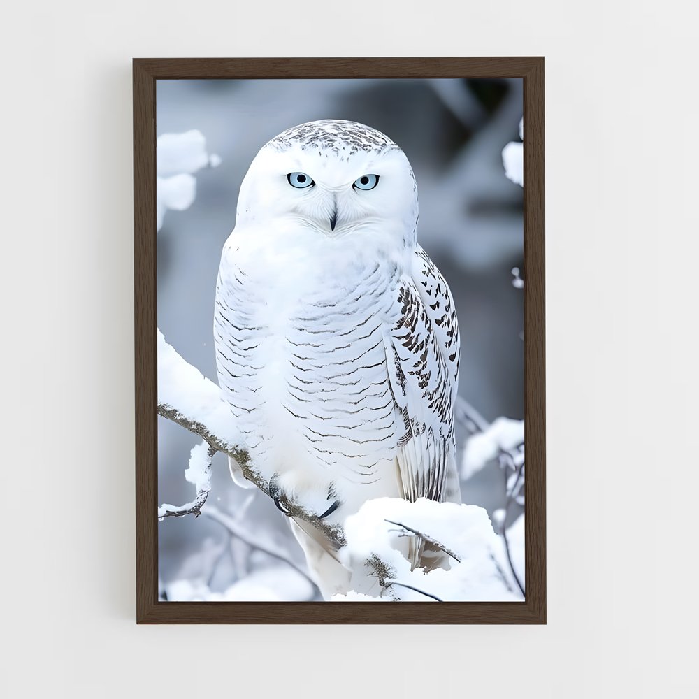 ap-snowy owl-1 cadre Bois foncé