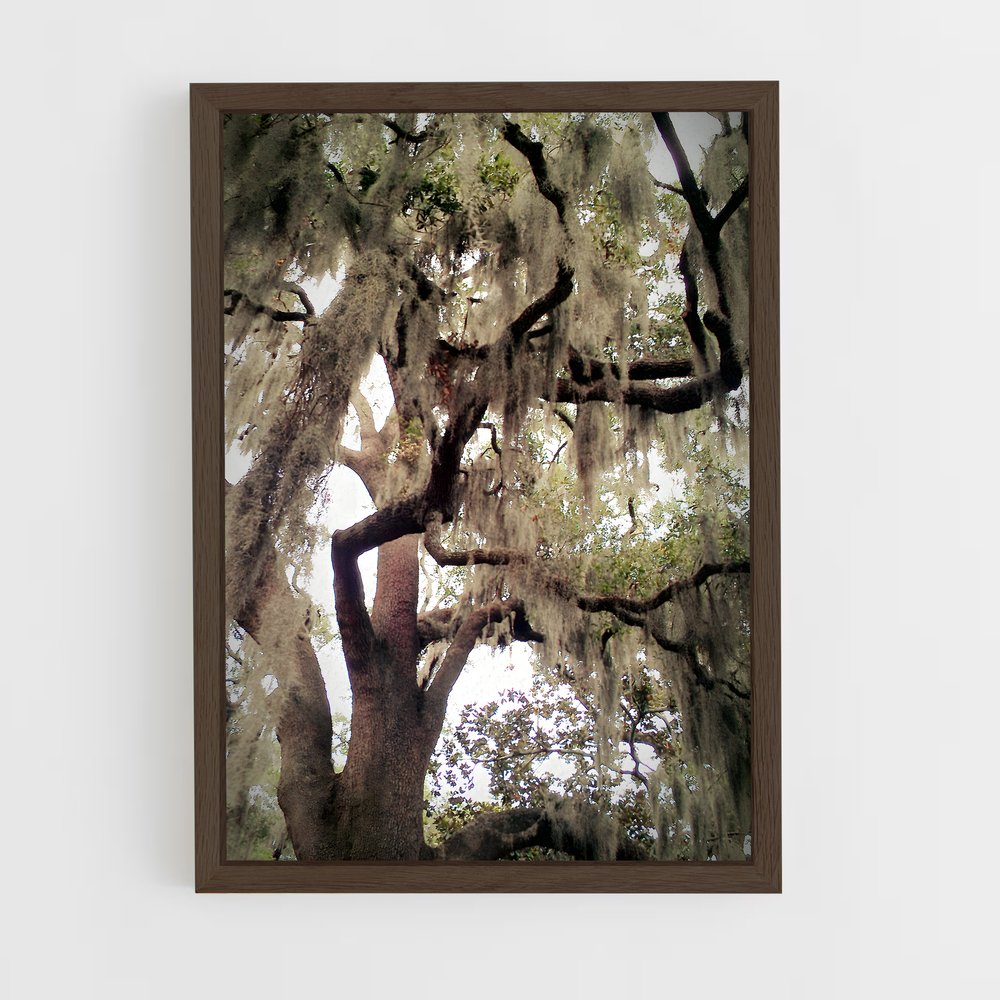 ap-spanish moss-7 cadre Bois foncé