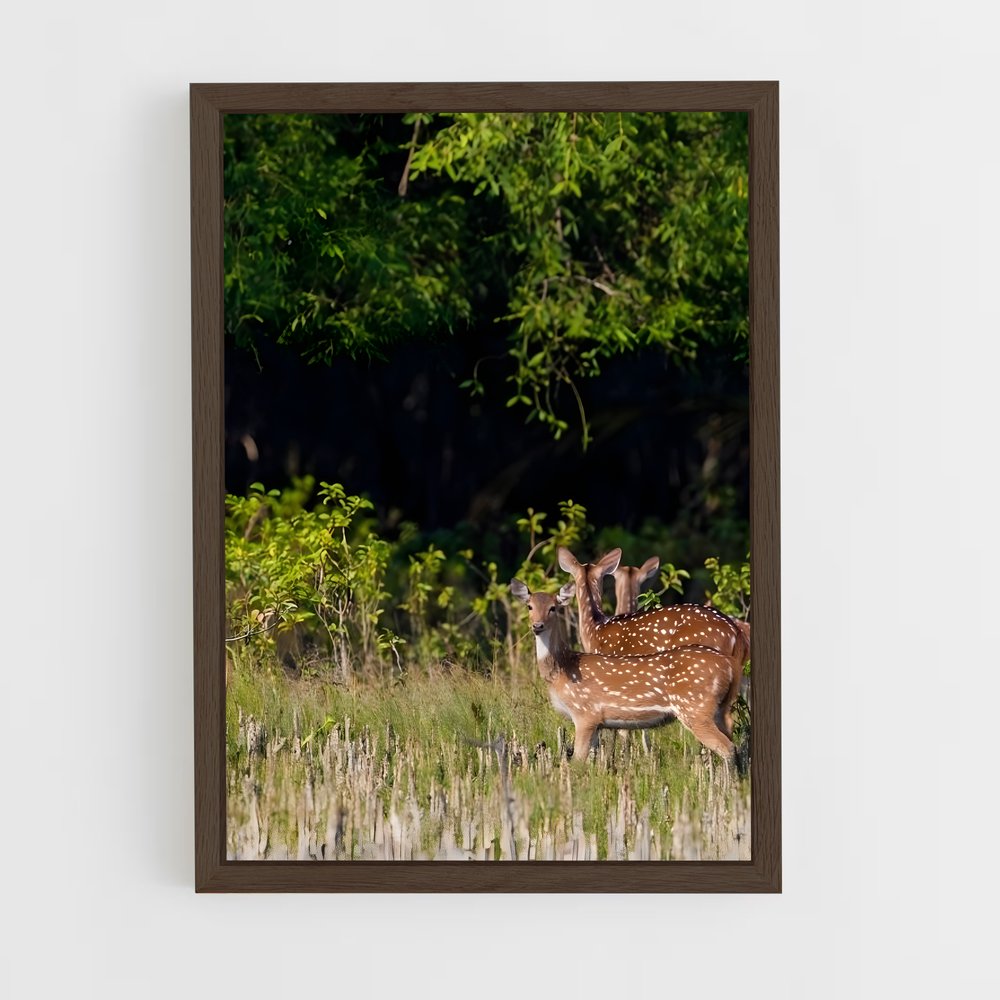 ap-sundarbans-5 cadre Bois foncé