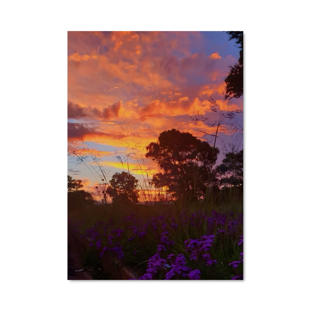 Poster Sunset 97839