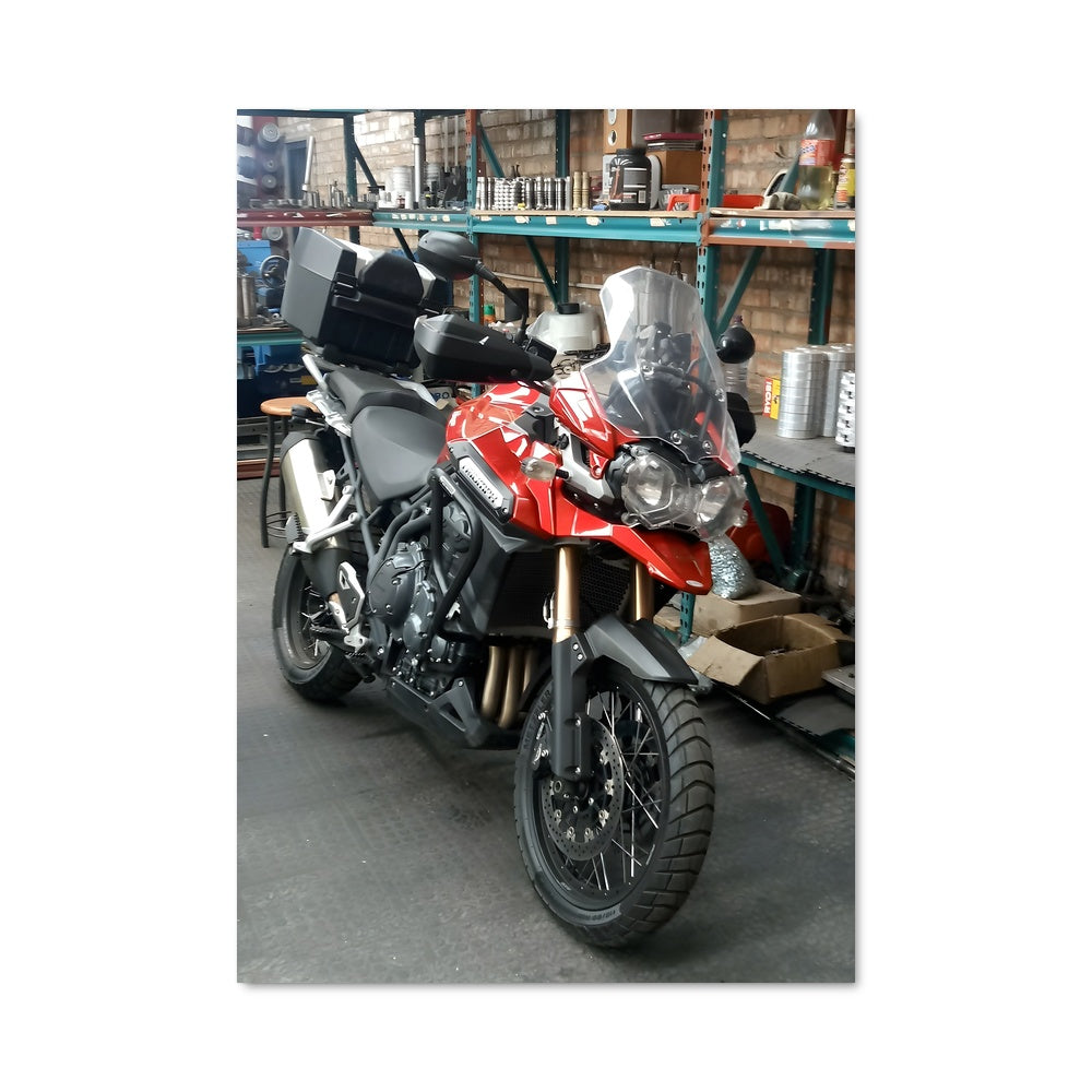 Poster Tiger 1200 82829