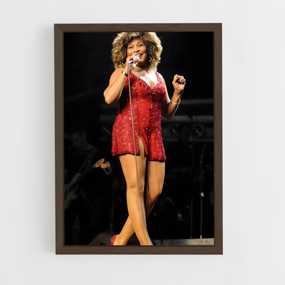 ap-tina turner-6 cadre Bois foncé