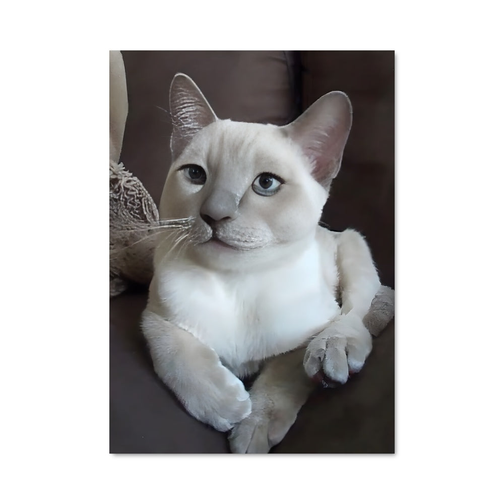 Poster Tonkinese 84788