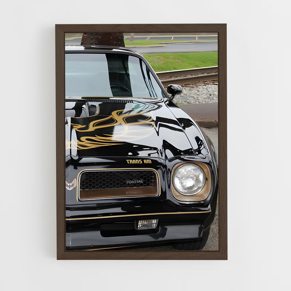 ap-trans am-1 cadre Bois foncé