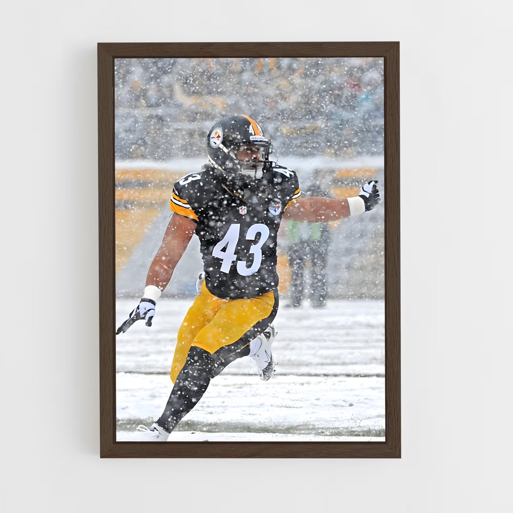 ap-troy polamalu-2 cadre Bois foncé