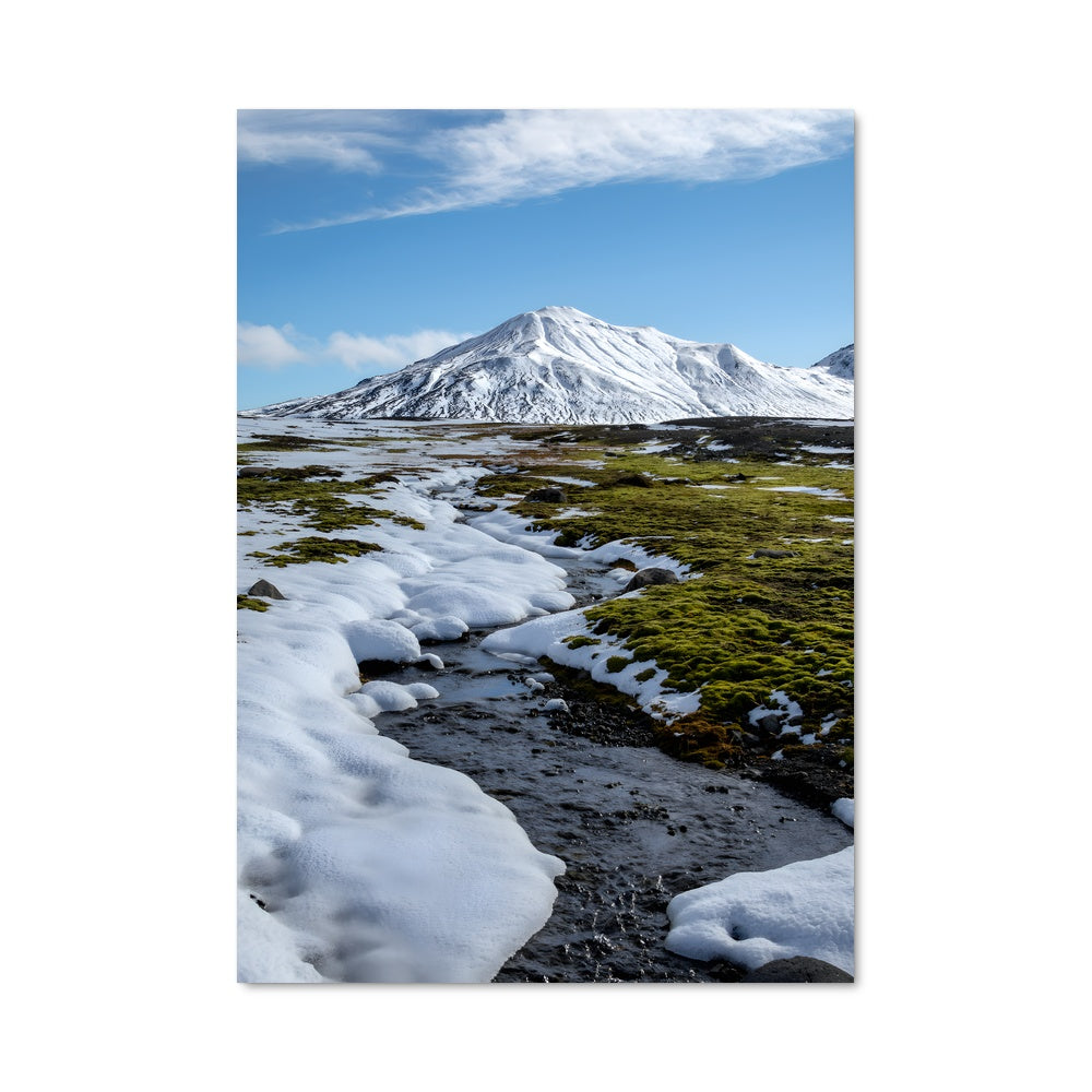 Poster Tundra 96123