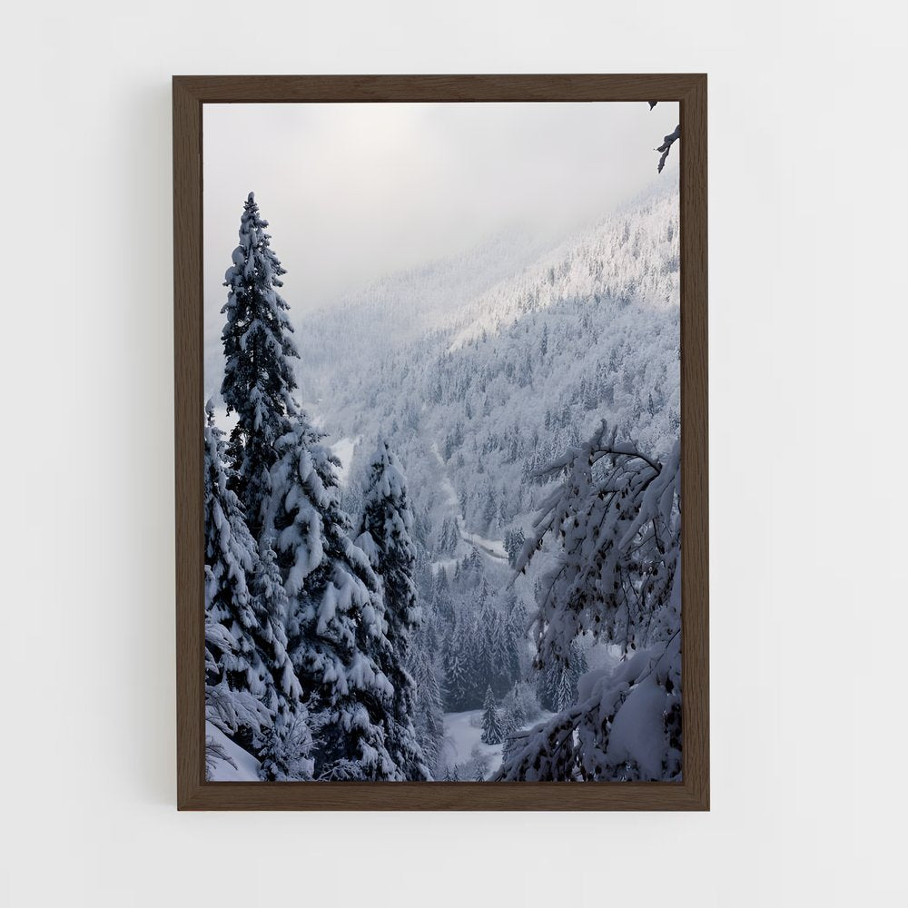 ap-tundra-6 cadre Bois foncé