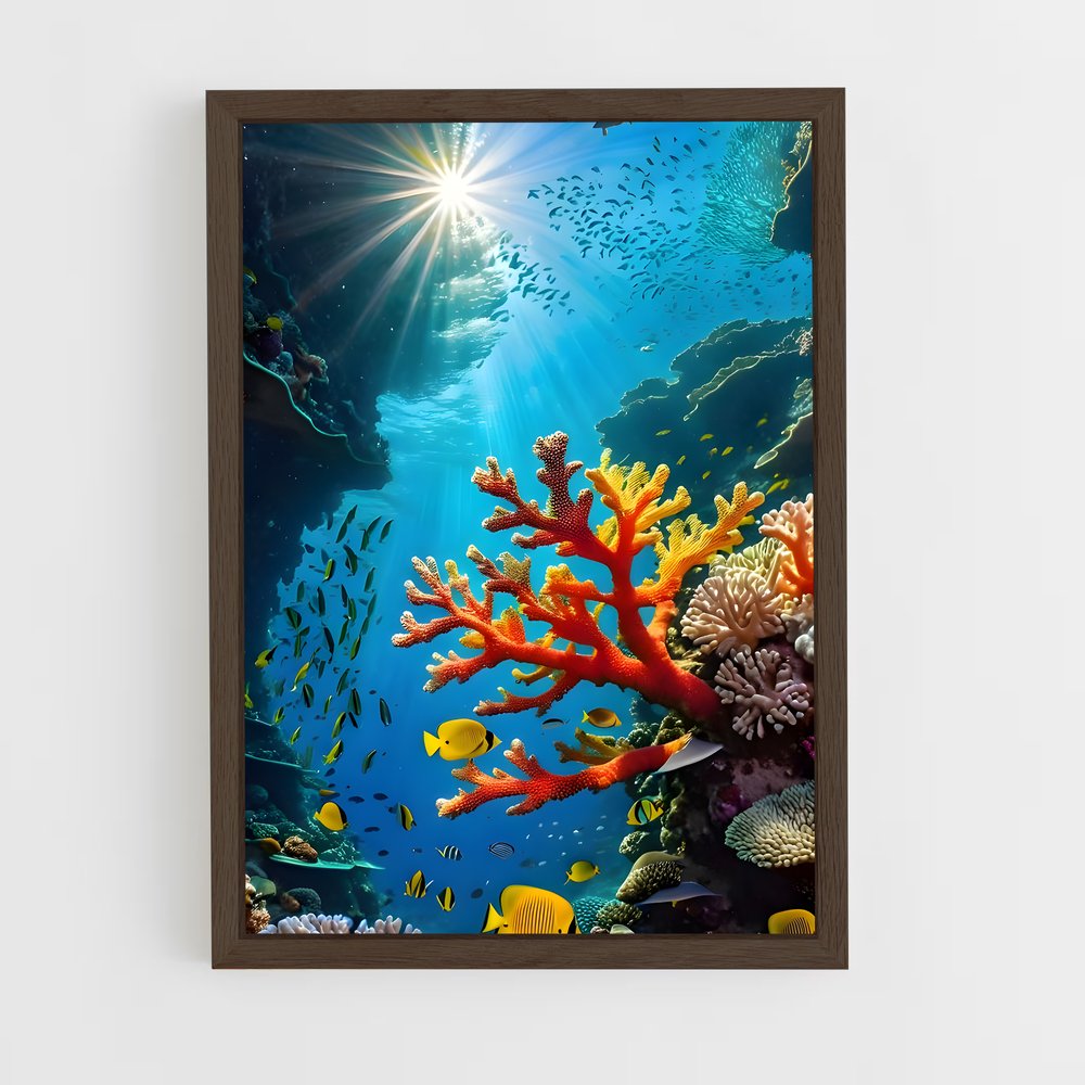 ap-underwater-20 cadre Bois foncé