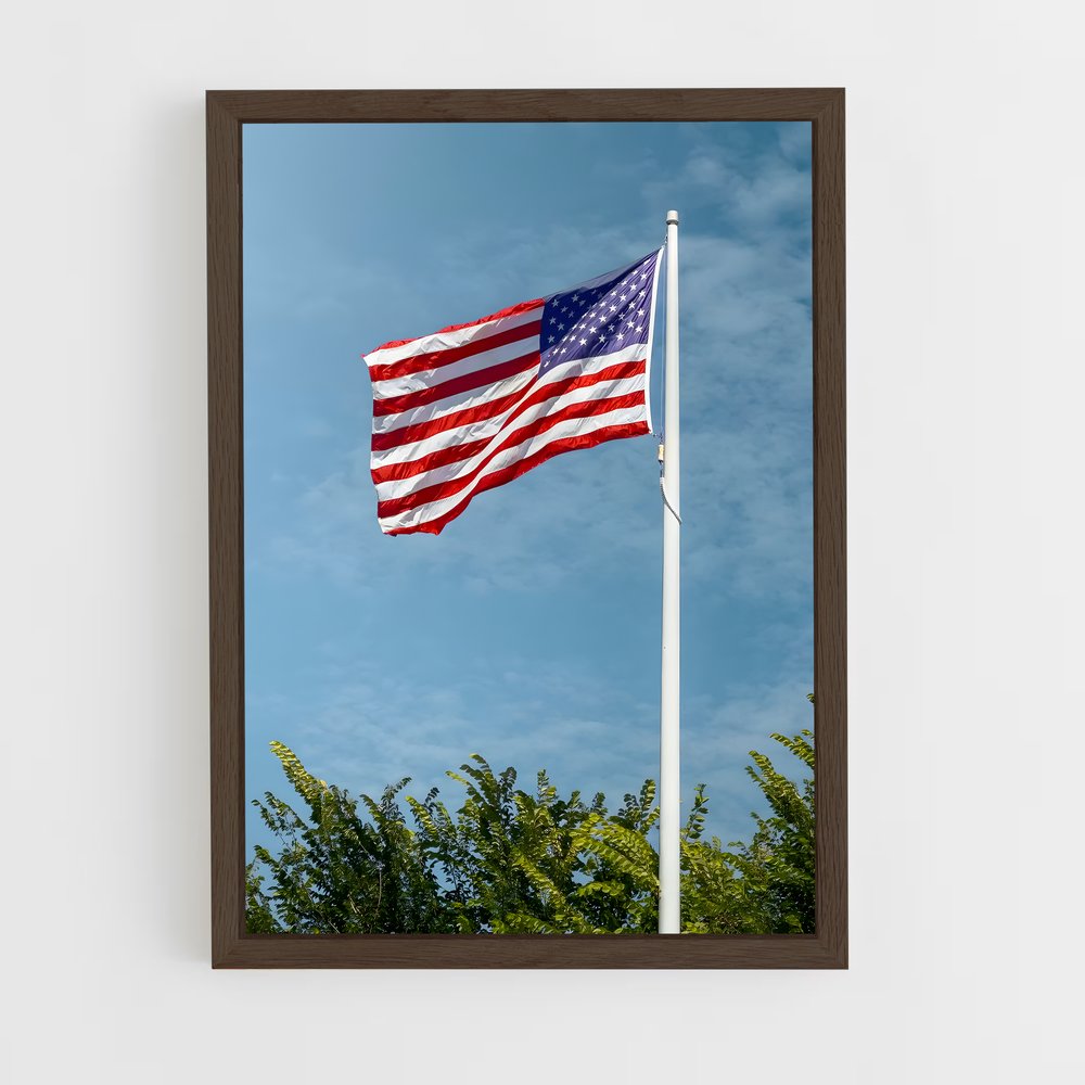 ap-united states flag-4 cadre Bois foncé