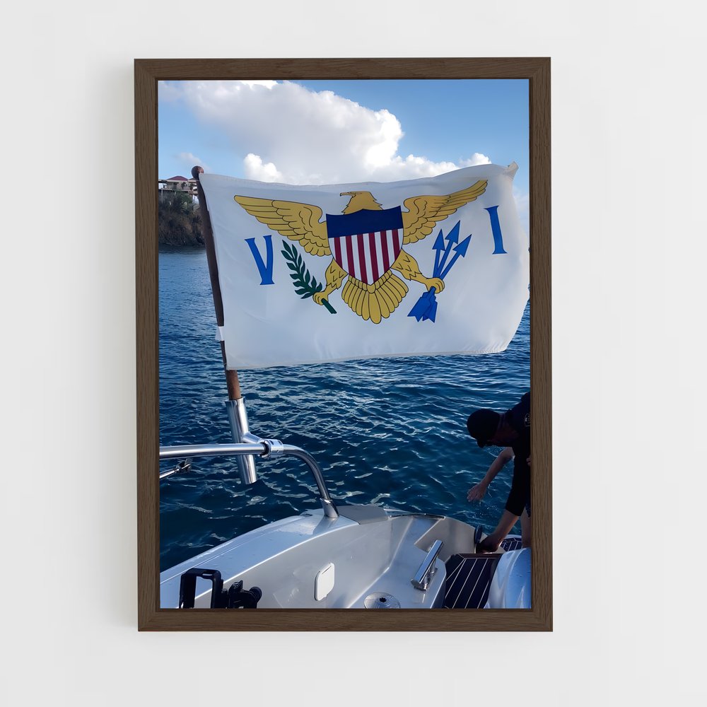 ap-us virgin islands flag-1 cadre Bois foncé
