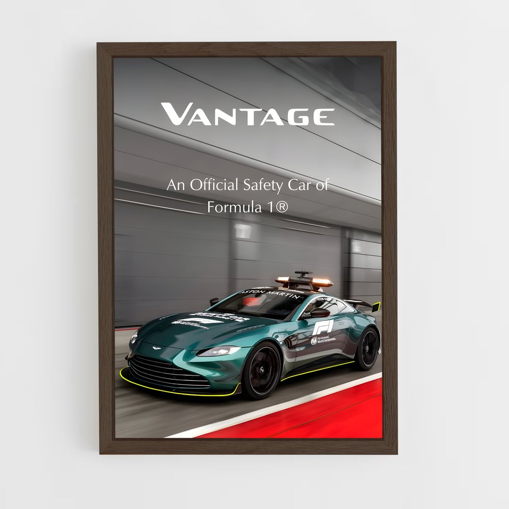 ap-vantage f1 edition-2 cadre Bois foncé