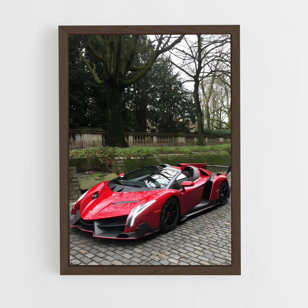 ap-veneno roadster-1 cadre Bois foncé