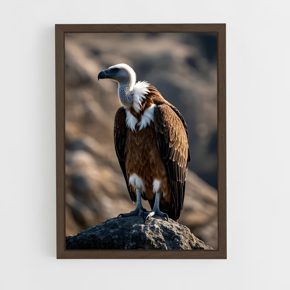 ap-vulture-2 cadre Bois foncé