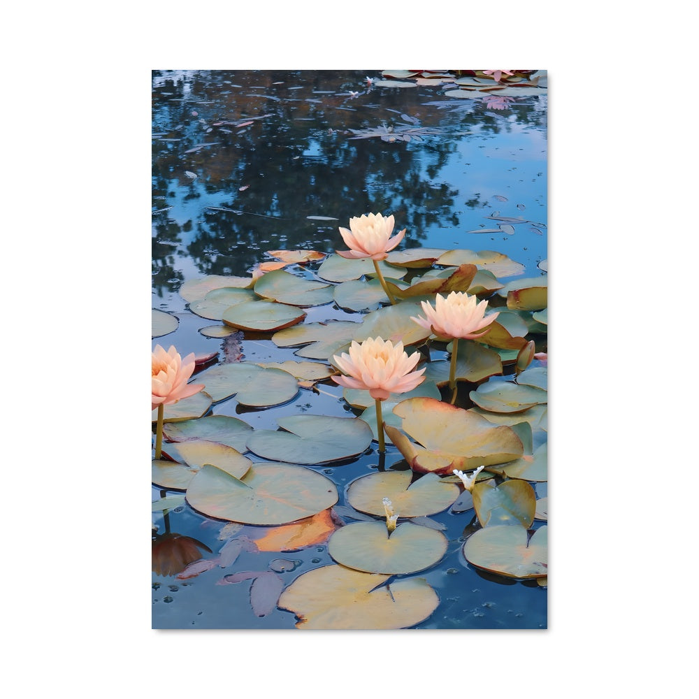 Poster Water lily 96283