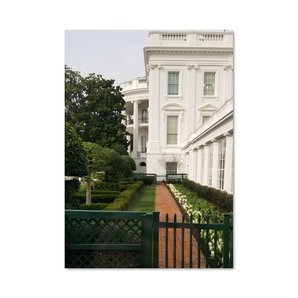Poster White house 93355