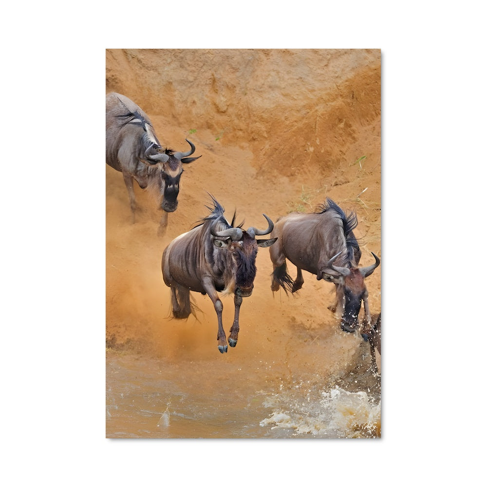 Poster Wildebeest 84610