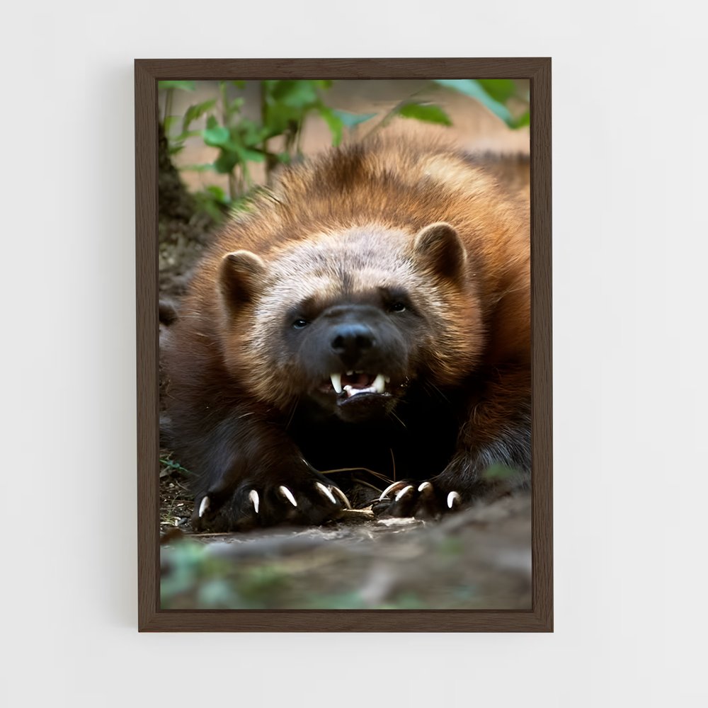 ap-wolverine-10 cadre Bois foncé
