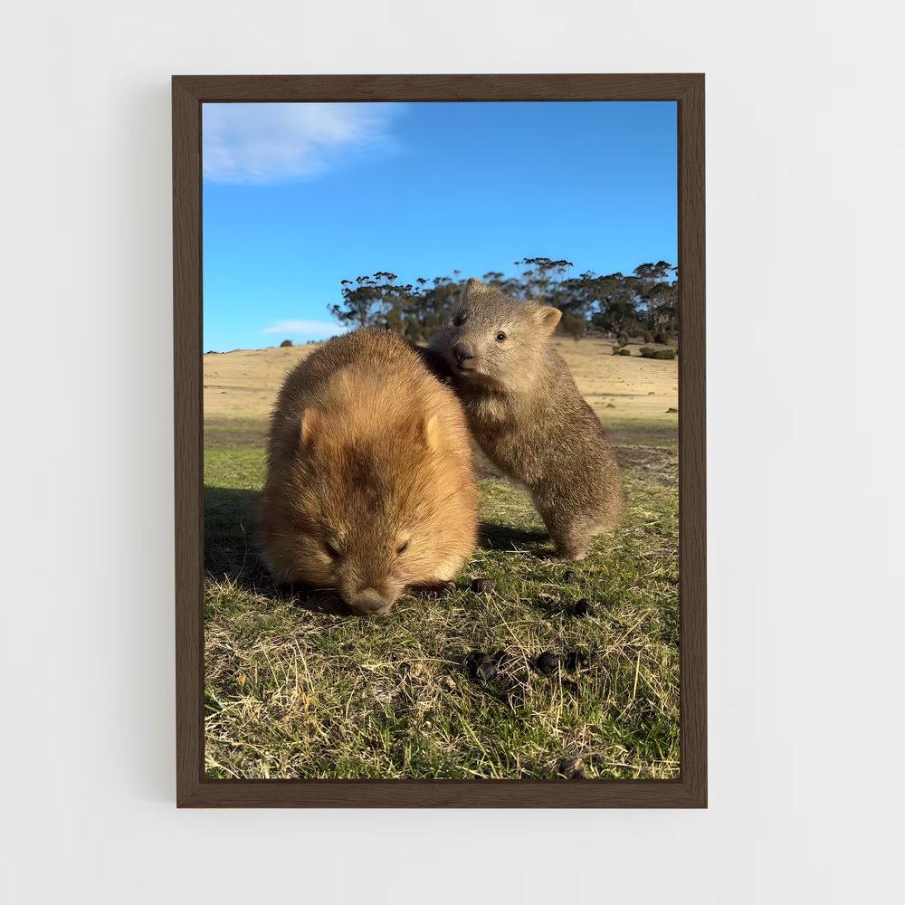 ap-wombat-3 cadre Bois foncé