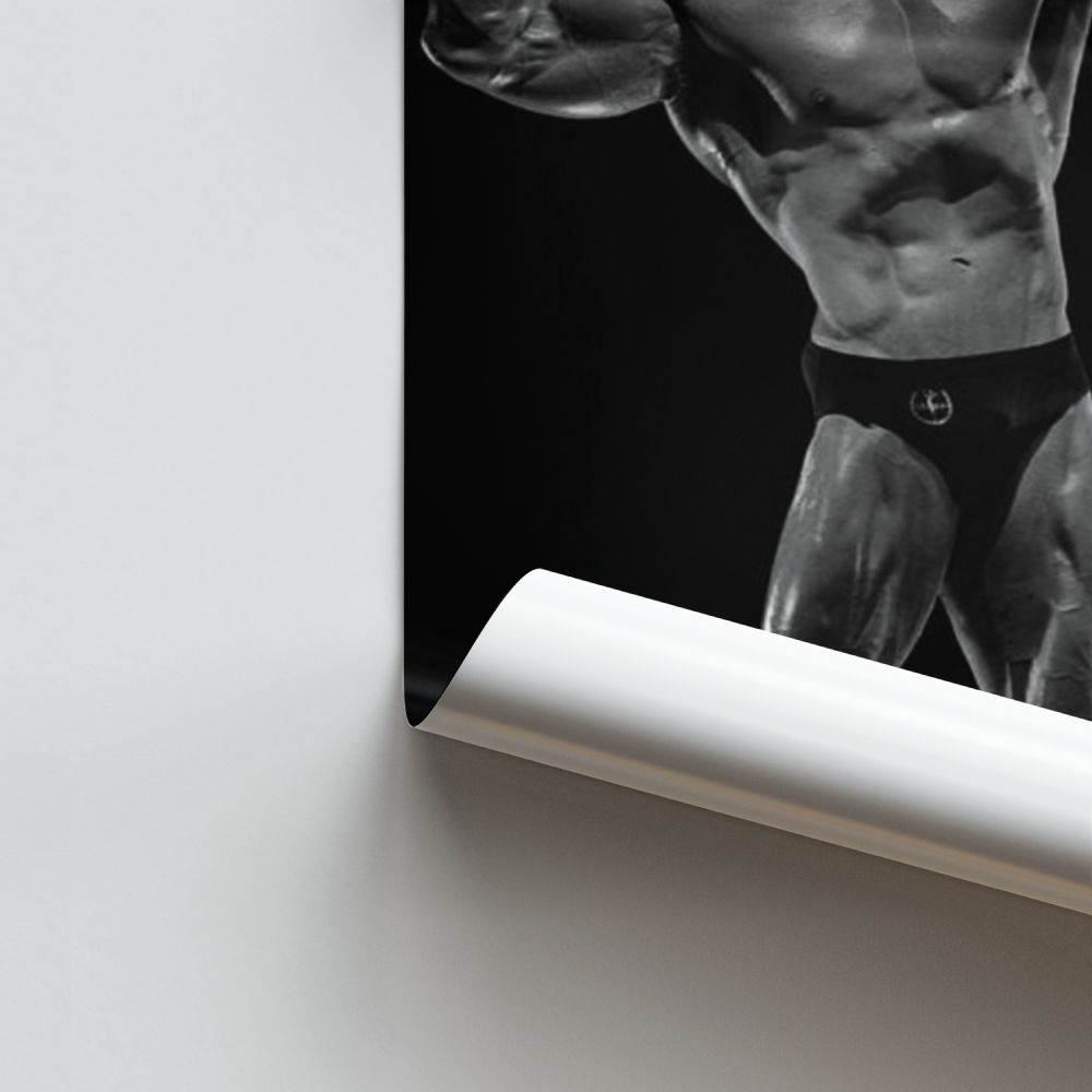 Poster Schwarzy victoire