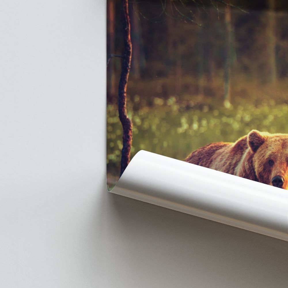 Poster voor volwassenen