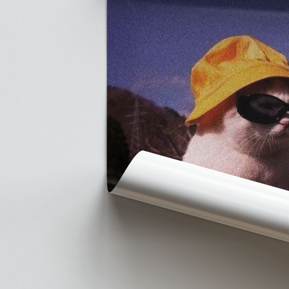 Kat misdadiger poster