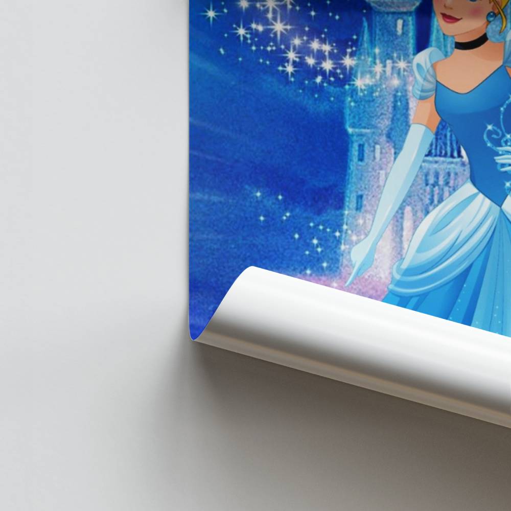 Assepoester kasteel poster