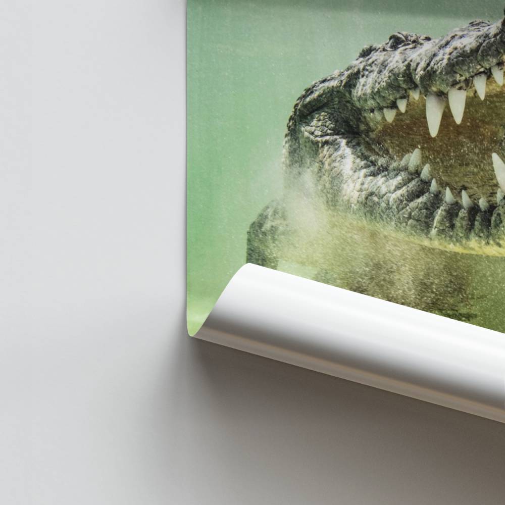 Alligator tanden poster