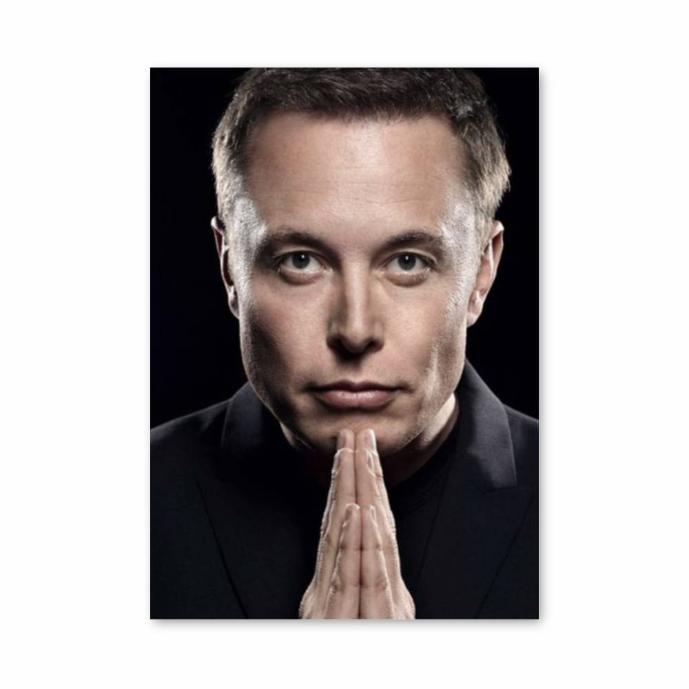 Poster Elon Musk Portret Aesthetic Posters poster-elon-musk-portret-aesthetic-posters