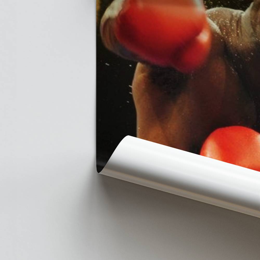 Affiche Evender Holyfield Boksen