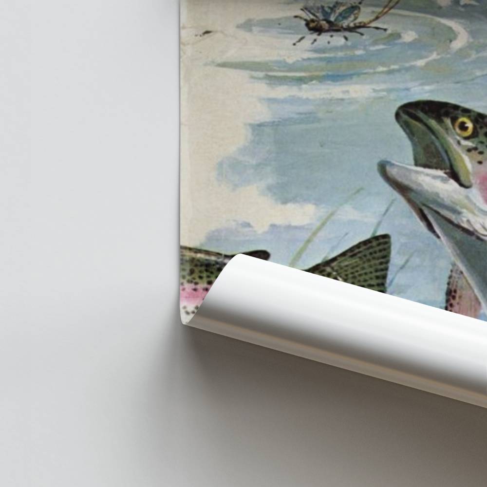 Poster Truite Éclatante