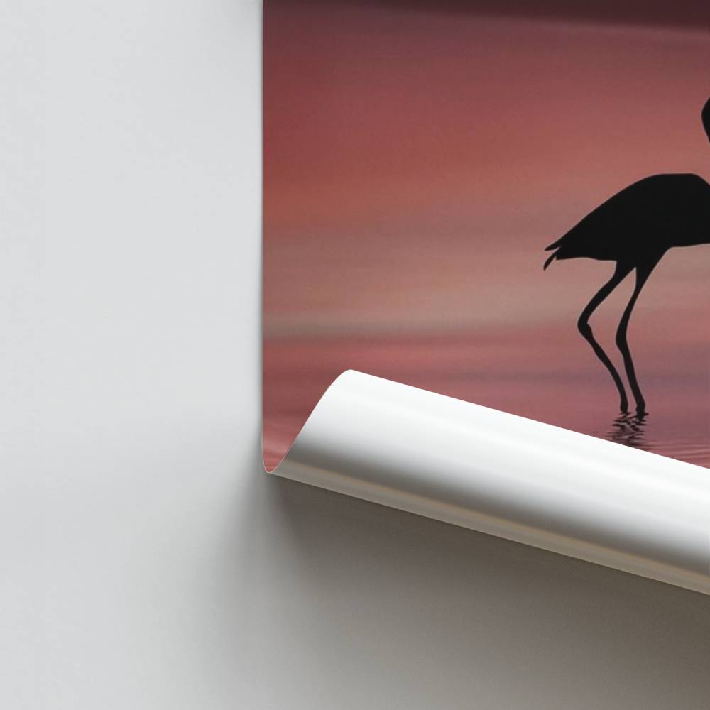 Flamingo Romaanse Poster