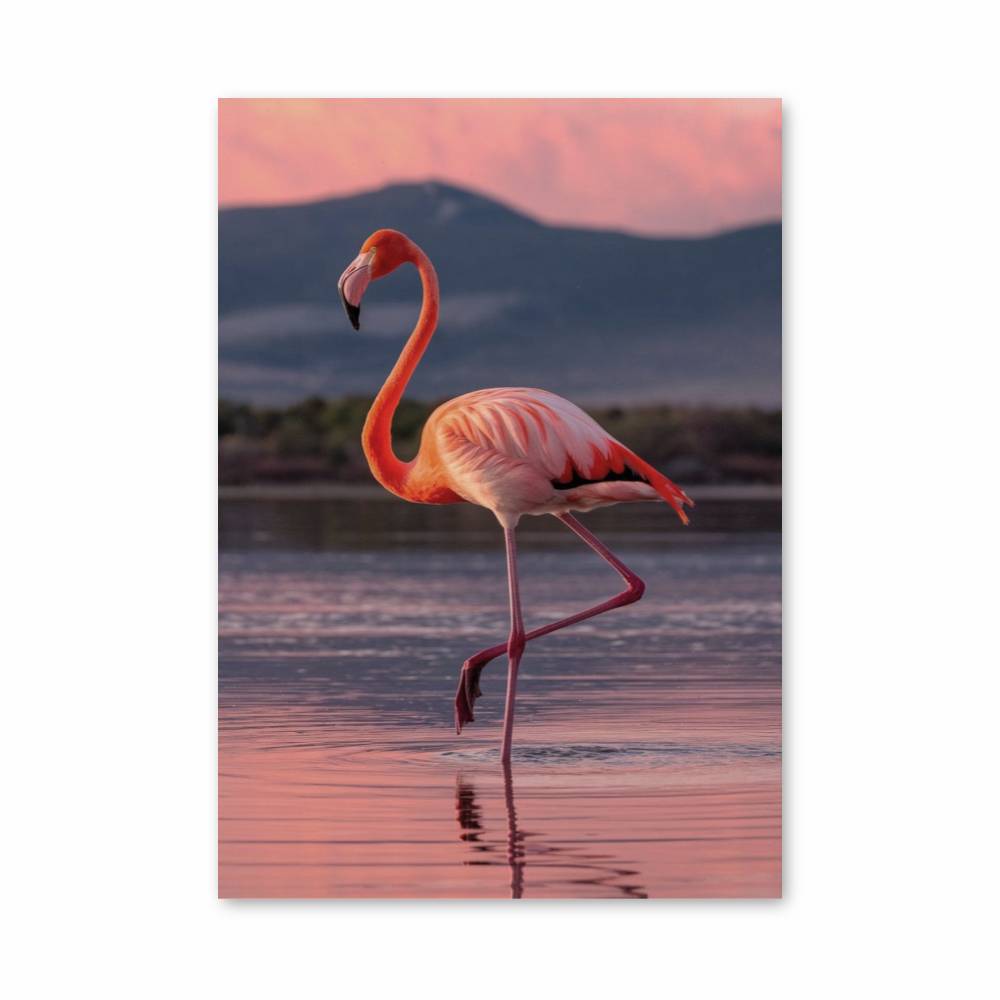 Poster Flamant Rose Éclatant