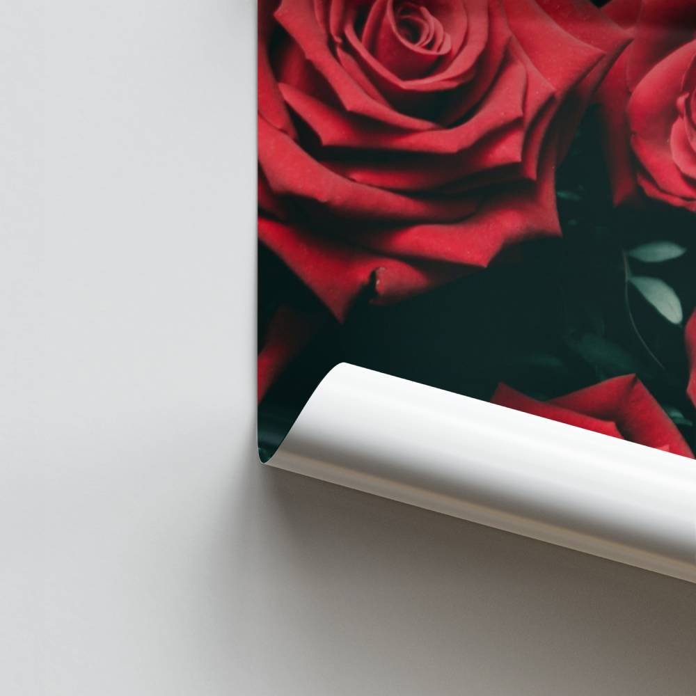 Dieprode rozen poster