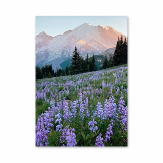 Poster Montagne Fleurie