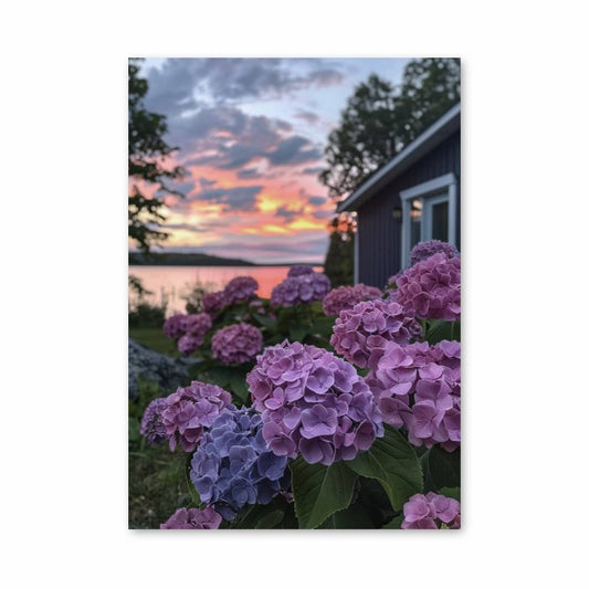 Poster Crépuscule Hydrangea