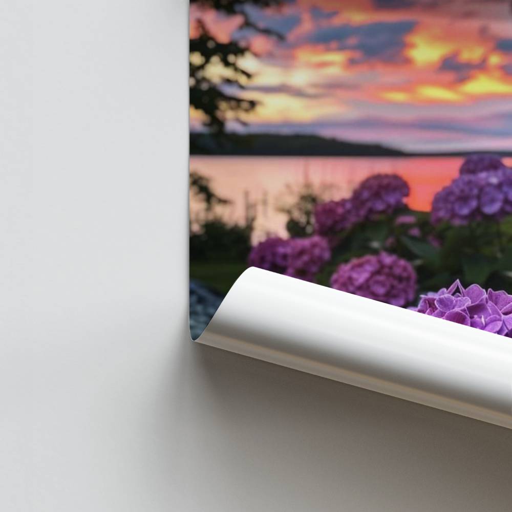 Schemer Hortensia Poster
