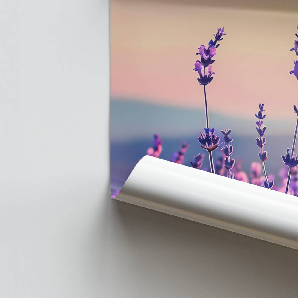 Poster Lavande Crépusculaire