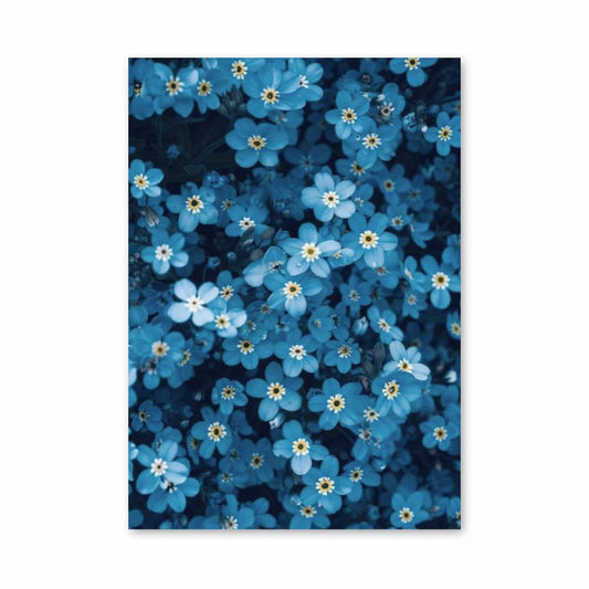 Poster Myosotis Bleu