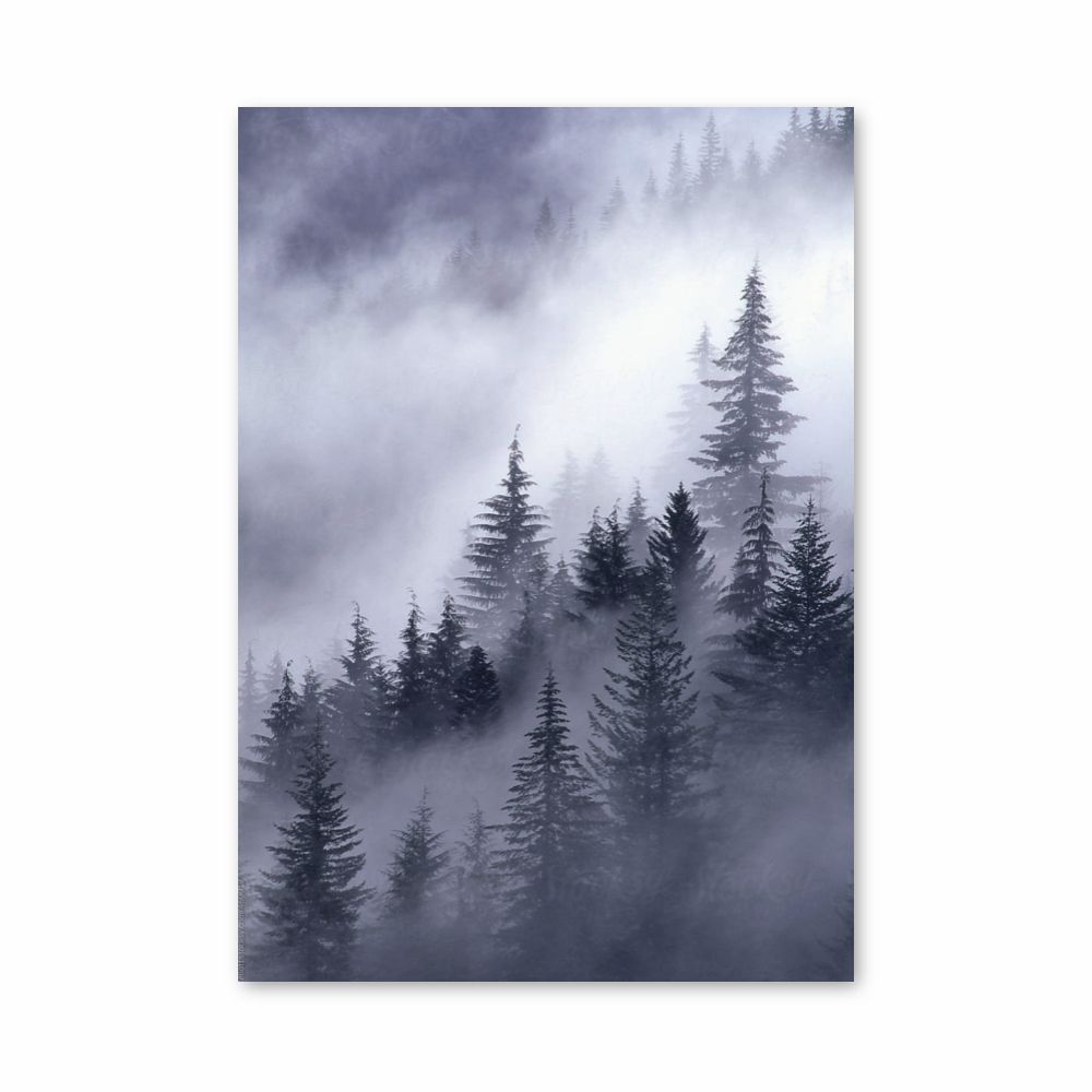 Poster Forêt Brume