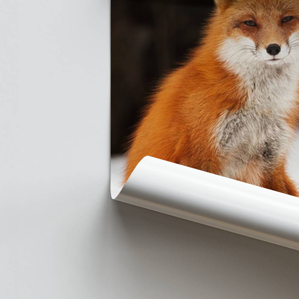 Besneeuwde Fox-poster