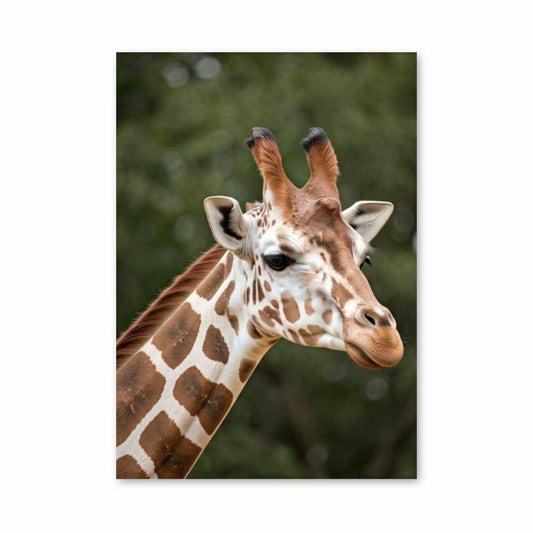 Poster Élégance Sauvage