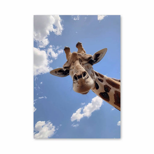 Poster Haute Vue Giraffe