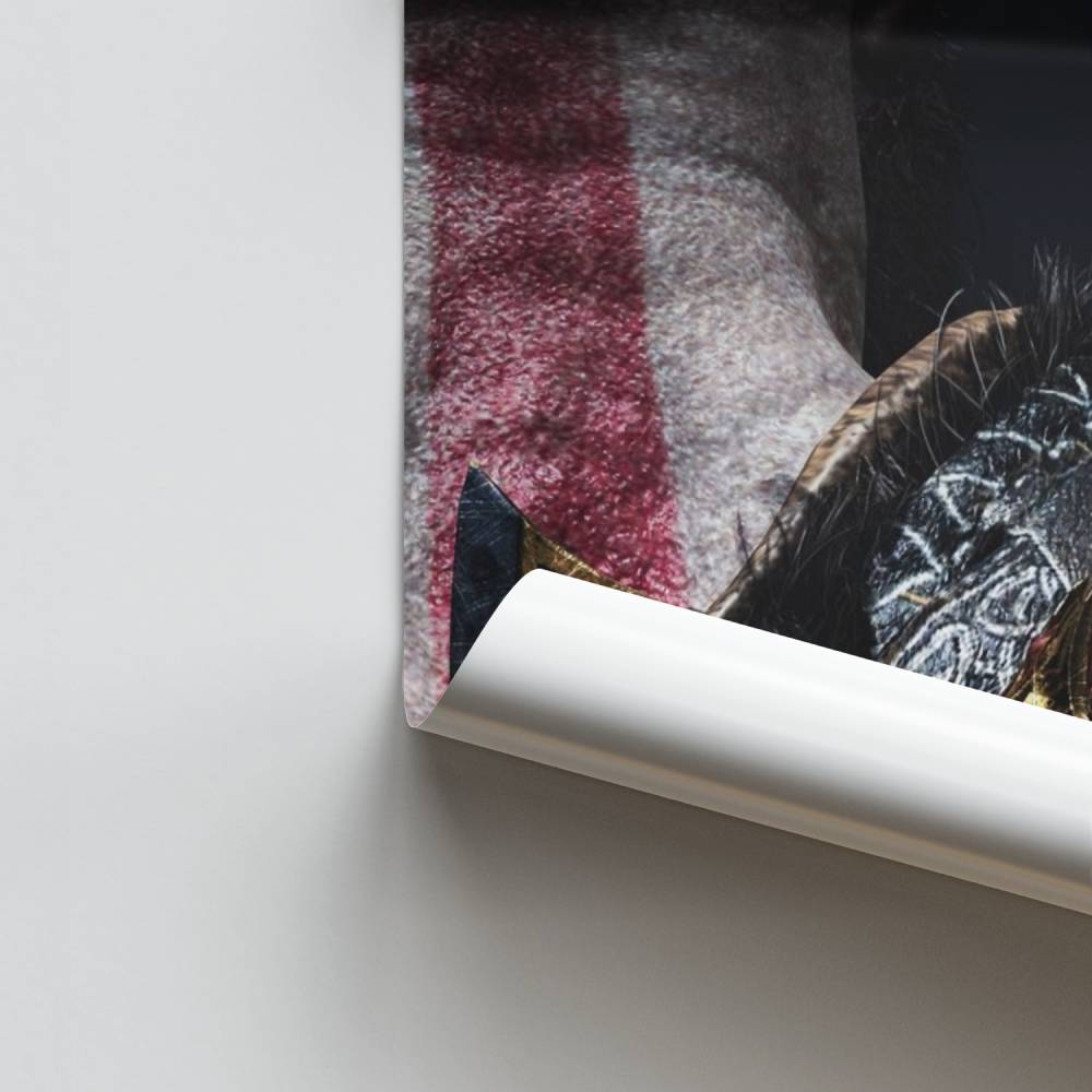 Noordse krijgerposter