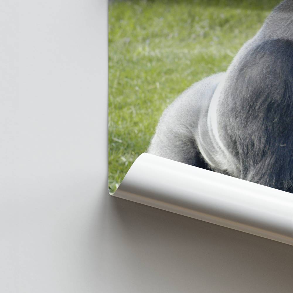 Poster met wilde krachten